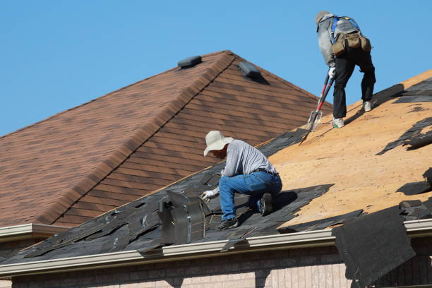 Best Gutter Installation and Repair  in Waldron, AR