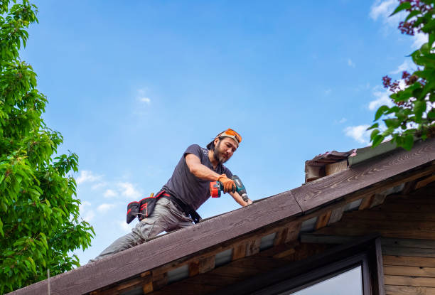 Best Commercial Roofing Services  in Waldron, AR